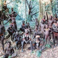 An Unbroken Lineage. the Sentinelese Bloodline is 60,000 Years Long